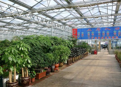 青州國(guó)際花卉市場(chǎng)施工